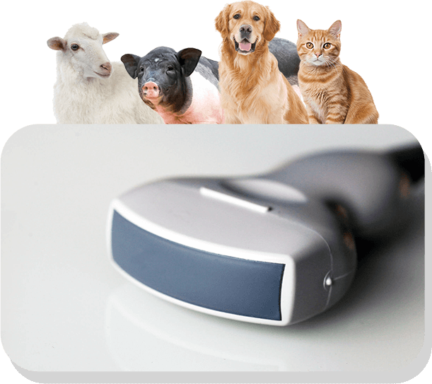 ウマ、ヒツジ、ブタ、イヌ、ウシの妊娠検査用のポータブル獣医用